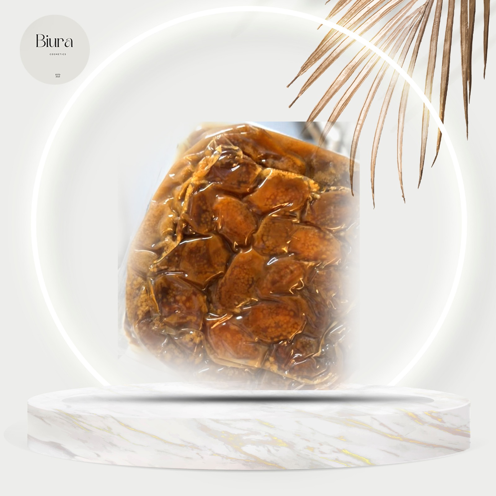 whatsapp_image_2025-01-26_at_8_32_48_pm_3