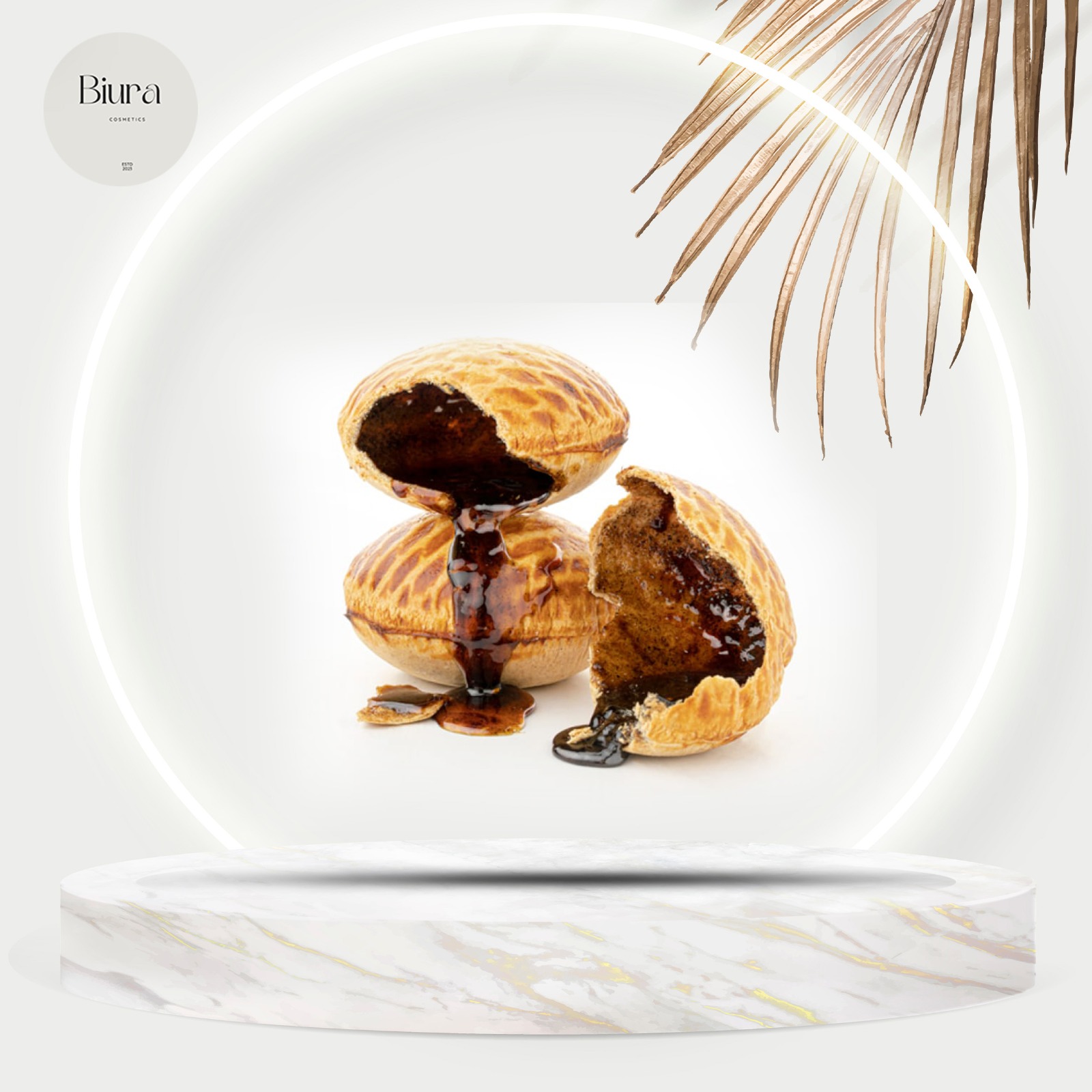 whatsapp_image_2025-01-26_at_8_32_49_pm